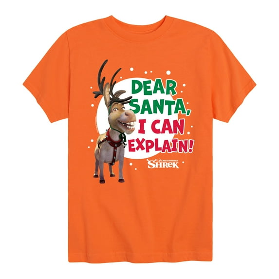 Shrek - Dear Santa I Can Explain - Youth Short Sleeve Graphic T-Shirt