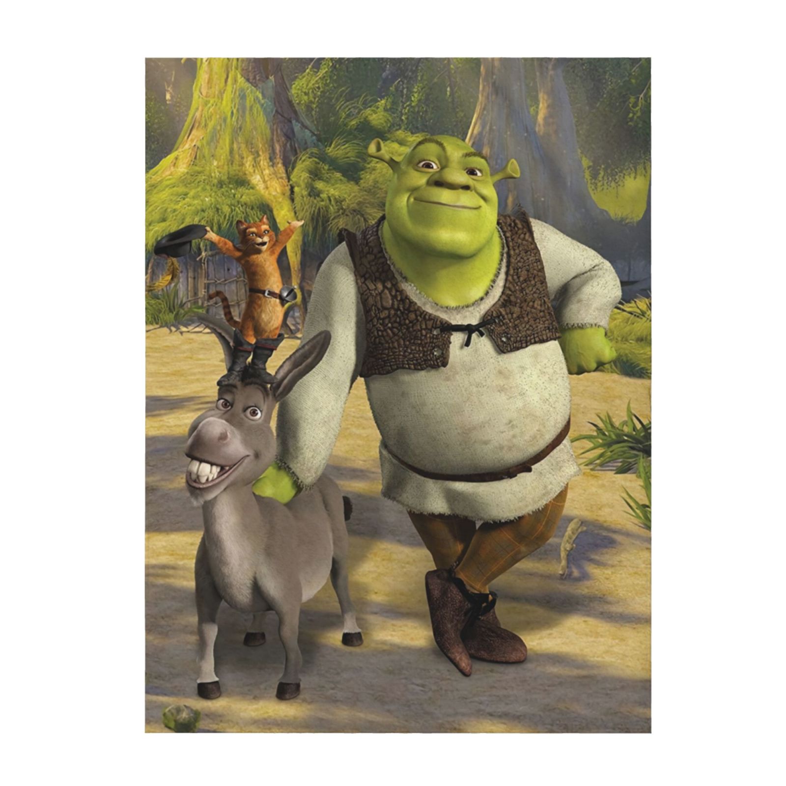 Shrek Get Out Of My Swamp Flannel Blanket Soft Lightweight Plush Fuzzy