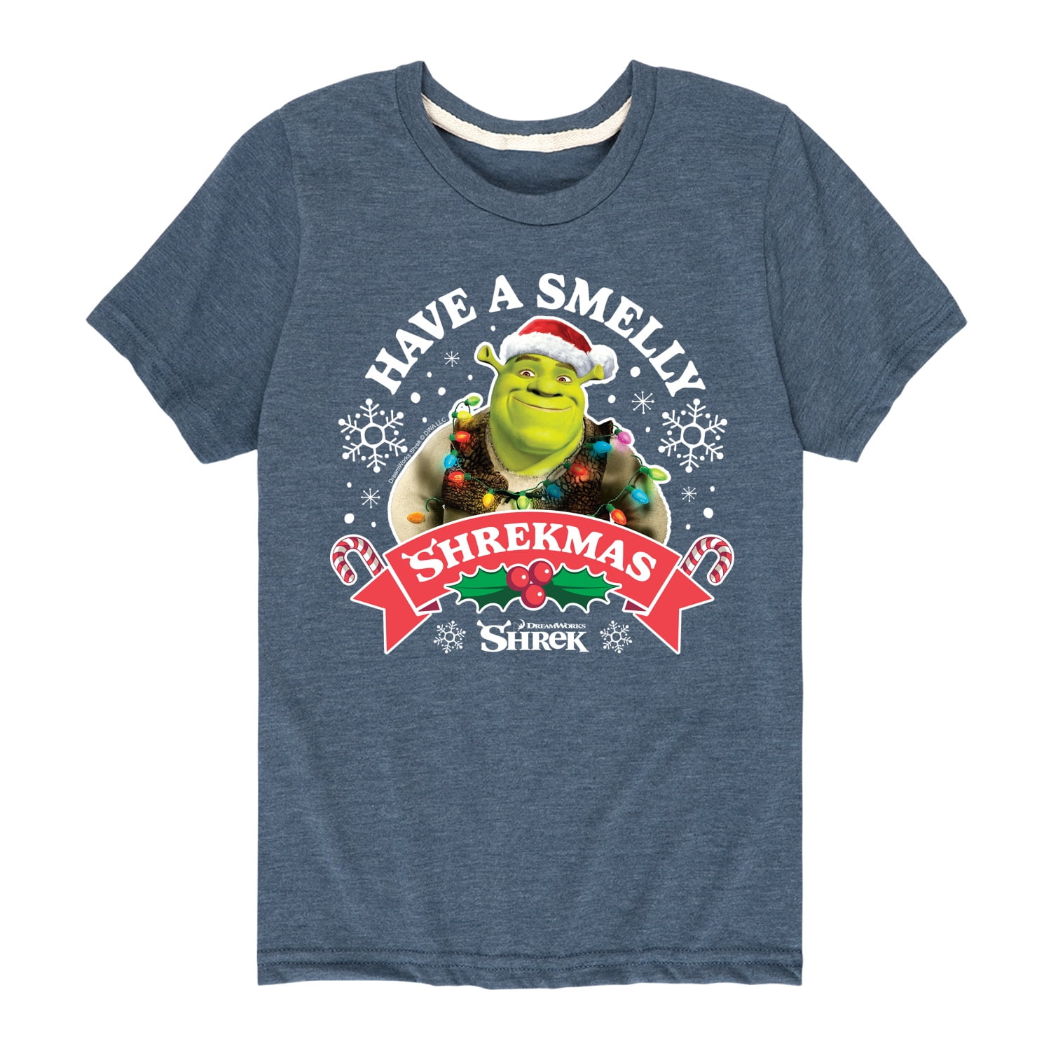Shrek - Have A Smelly Shrekmas - Youth Short Sleeve Graphic T-Shirt ...