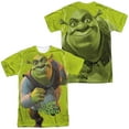 thumbnail image 1 of Shrek Trio Unisex Adult Sublimated Costume T Shirt (Front/Back), Small Multicolor, 1 of 2