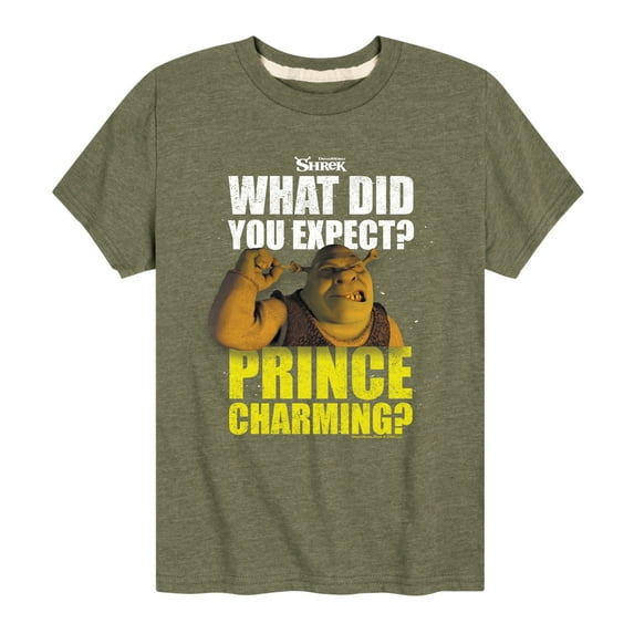Shrek - What Did You Expect Prince Charming - Toddler & Youth Short Sleeve Graphic T-Shirt