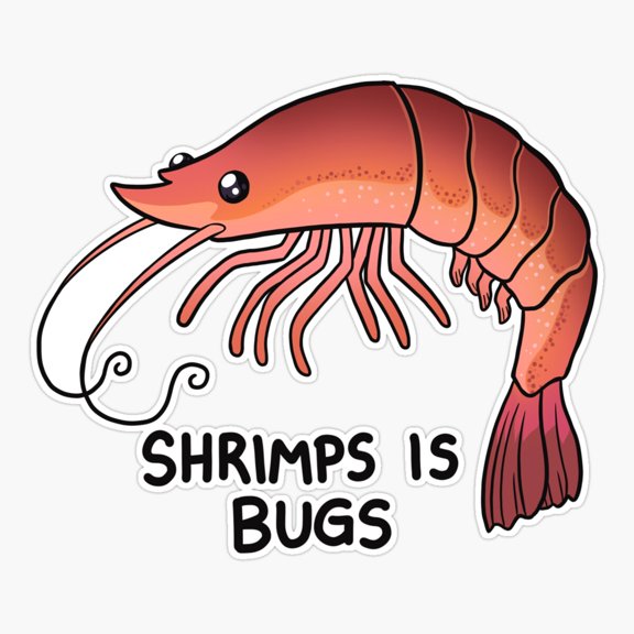 Shrimp Bugs Food Quote Sticker