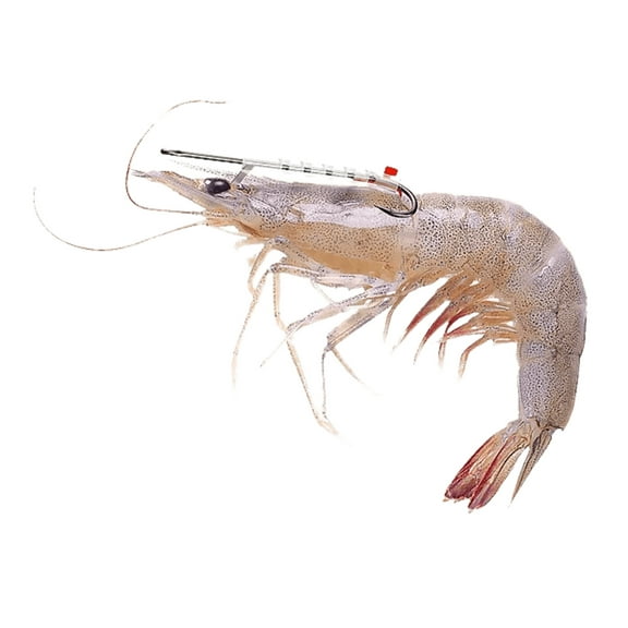 Shrimp Walker Live Shrimp Holder Hook - Single Saltwater Hook
