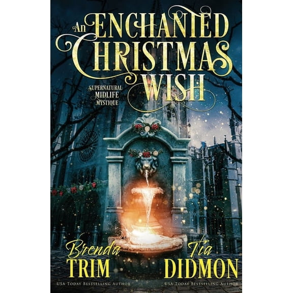 Shrouded Nation An Enchanted Christmas Wish: Paranormal Women's Fiction (Supernatural Midlife Mystique), Book 13, (Paperback)