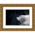 thumbnail image 1 of Shu, Tristan 24x17 Gold Ornate Wood Framed with Double Matting Museum Art Print Titled - Alpinists, 1 of 4