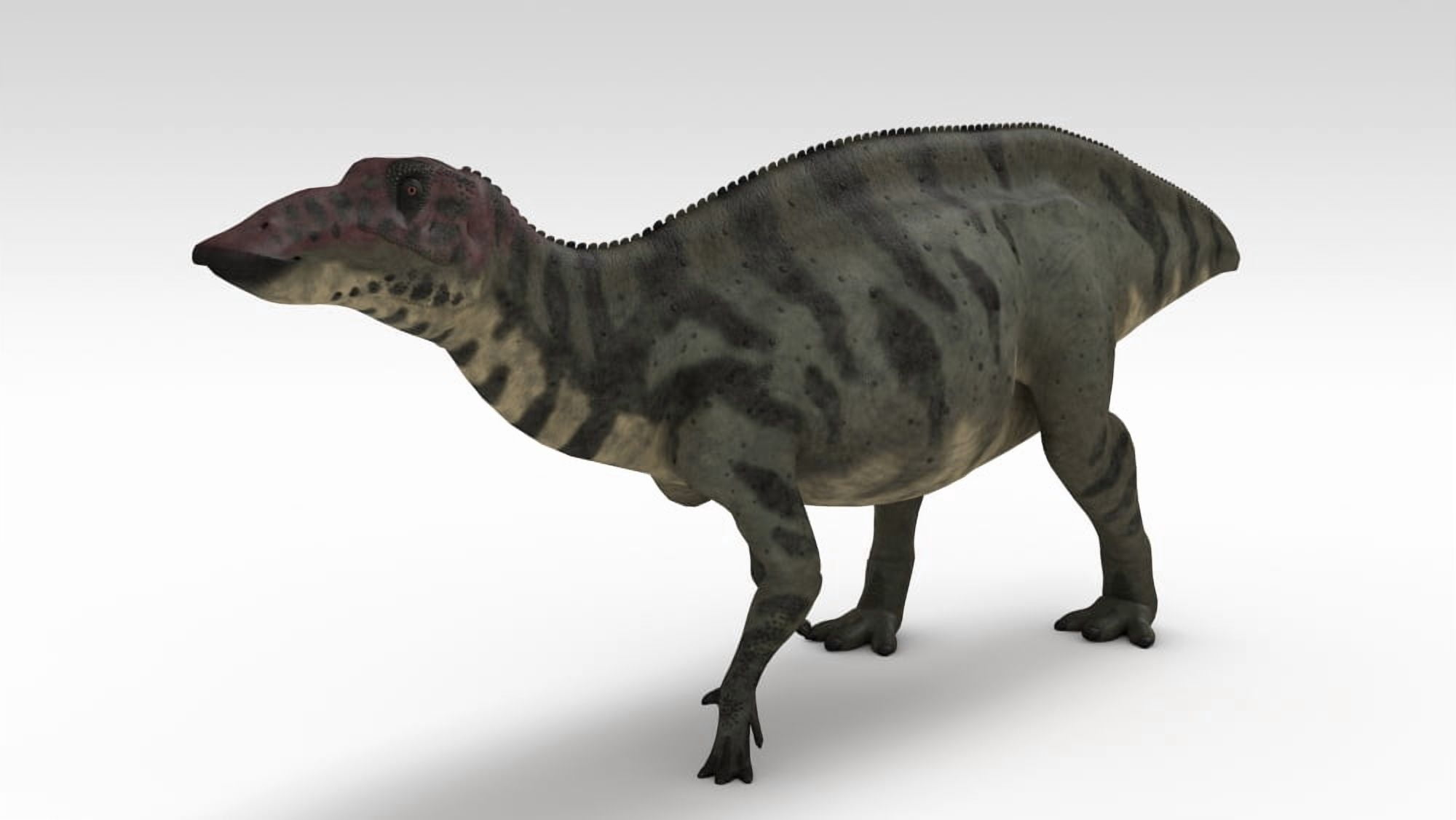 Shuangmiaosaurus dinosaur white background Canvas Art - Kostyantyn IvanyshenStocktrek Images (38 x 22)