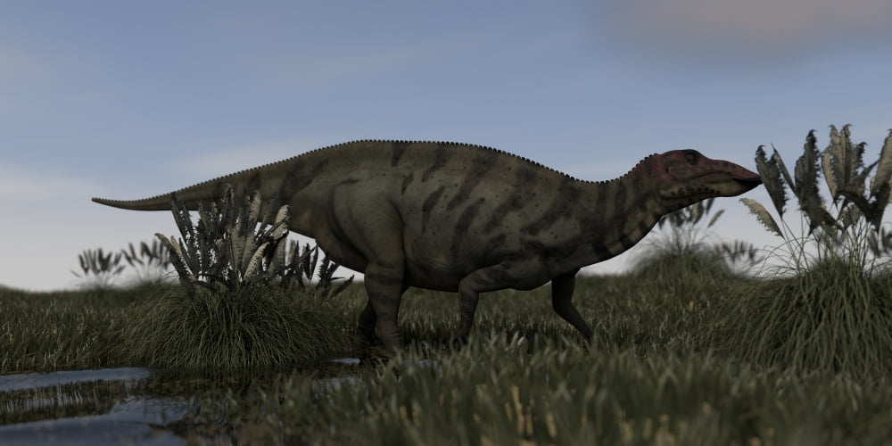 Shuangmiaosaurus in swamp water Canvas Art - Kostyantyn IvanyshenStocktrek Images (20 x 10)