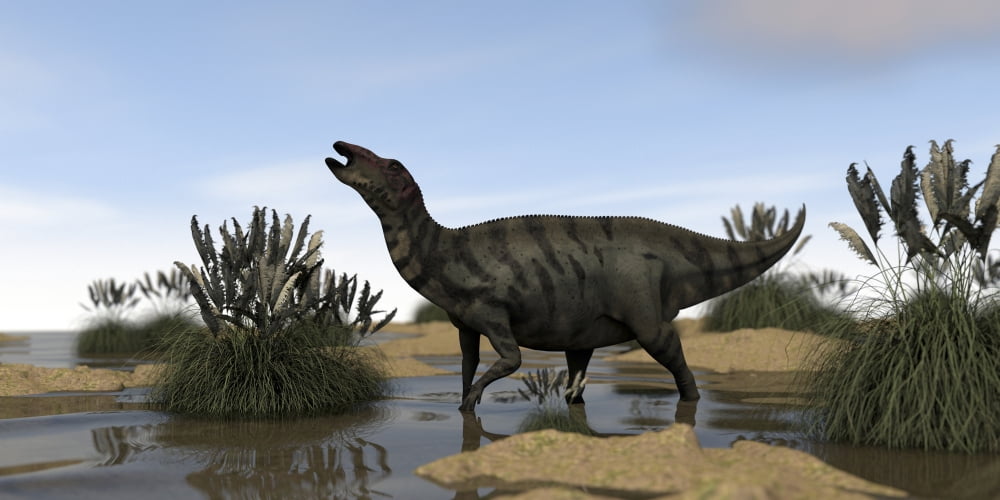 Shuangmiaosaurus in swamp water Canvas Art - Kostyantyn IvanyshenStocktrek Images (20 x 10)