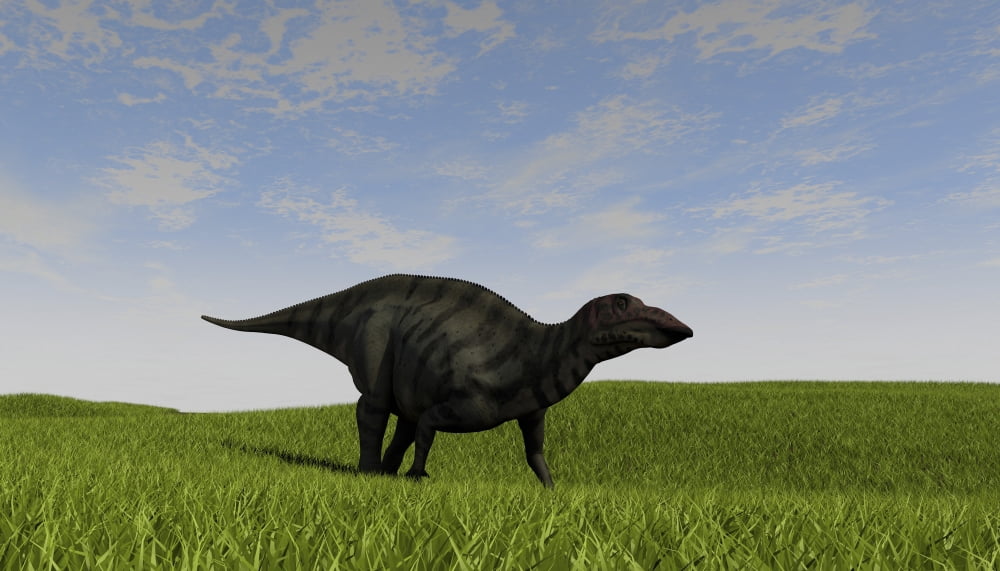 Shuangmiaosaurus walking across a grassy field Canvas Art - Kostyantyn IvanyshenStocktrek Images (19 x 11)