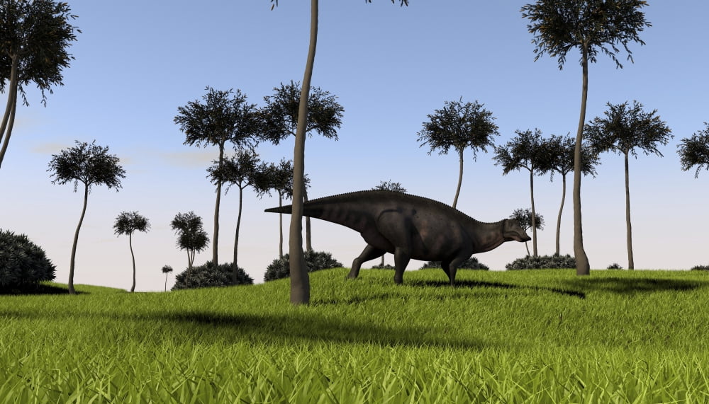 Shuangmiaosaurus walking across a grassy field Canvas Art - Kostyantyn IvanyshenStocktrek Images (19 x 11)