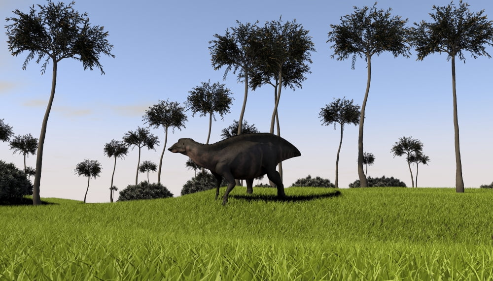 Shuangmiaosaurus walking across a grassy field Canvas Art - Kostyantyn IvanyshenStocktrek Images (38 x 22)