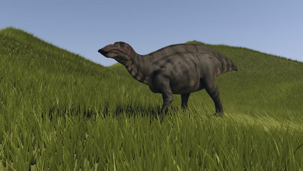 Shuangmiaosaurus walking across a grassy field Canvas Art - Kostyantyn IvanyshenStocktrek Images (38 x 22)