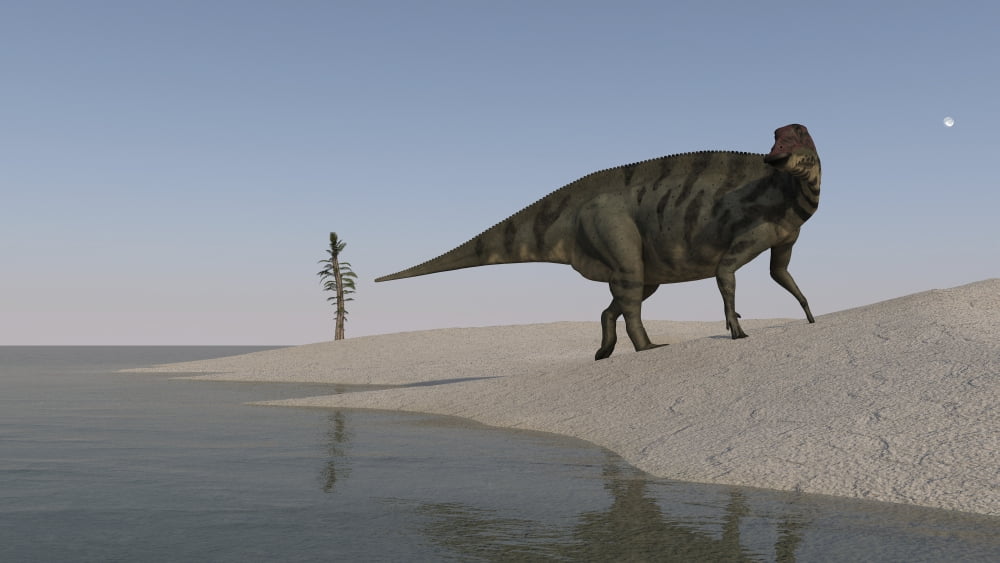 Shuangmiaosaurus walking along the shoreline Canvas Art - Kostyantyn IvanyshenStocktrek Images (38 x 22)