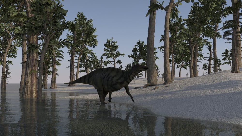 Shuangmiaosaurus walking along the shoreline of a prehistoric environment Canvas Art - Kostyantyn IvanyshenStocktrek Images (38 x 22)