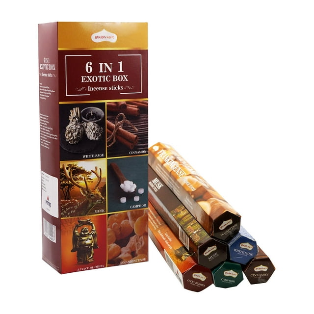 Shubhkart 6 in 1 Exotic Incense Sticks Pack Set, 120 Sticks (Assorted Fragrances)