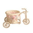 thumbnail image 1 of Shulemin Rattan Flower Basket Vase Tricycle Bicycle Model Home Garden Wedding Party Decor,Random Color, 1 of 8
