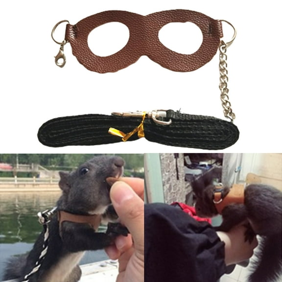 Shulemin Squirrel Harness Anti-knot Anti-biting Faux Leather Pet Leash Chest Strap for Daily Life,Coffee