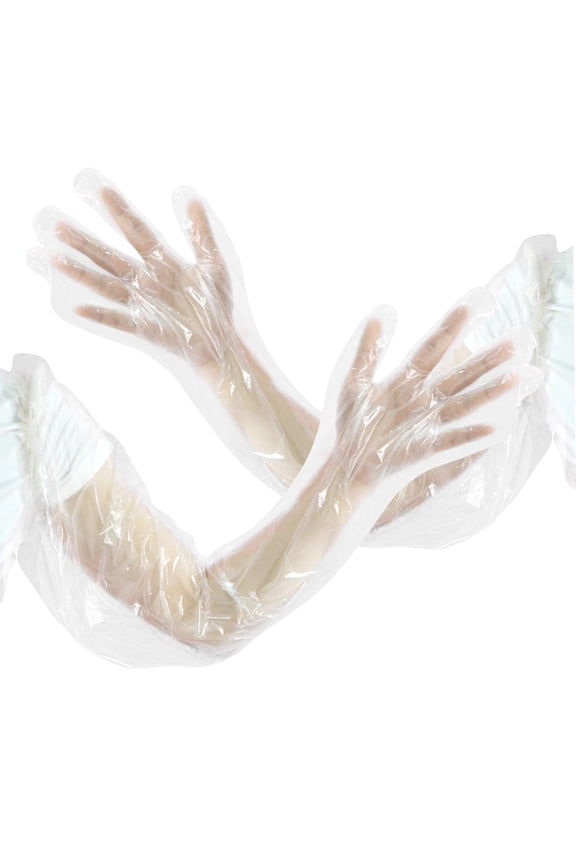 Hand Protection PE Gloves Transparent 10 Pairs 31.5x4.7x0.08in