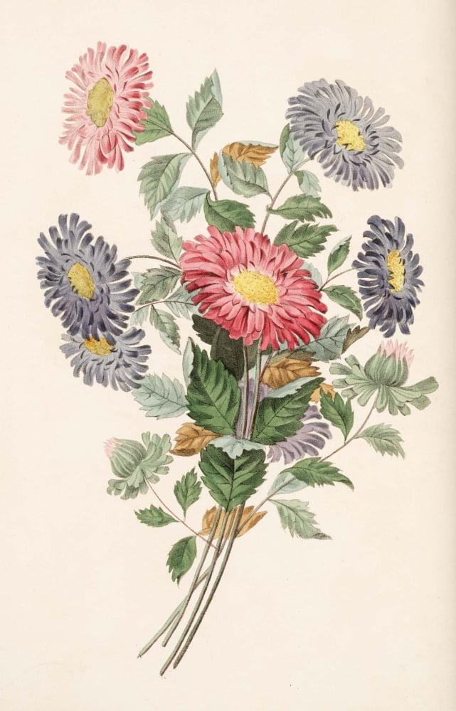 Groups Of Flowers 1