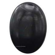 Shungite Crystal Palm Stone