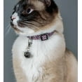 thumbnail image 1 of Shungite Pet Charm, 1 of 5