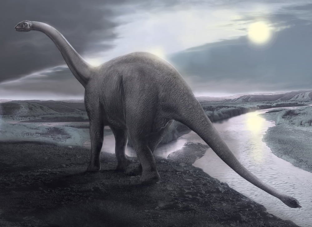 Shunosaurus dinosaur walking alongside a river bank Canvas Art - Jan SovakStocktrek Images (17 x 12)