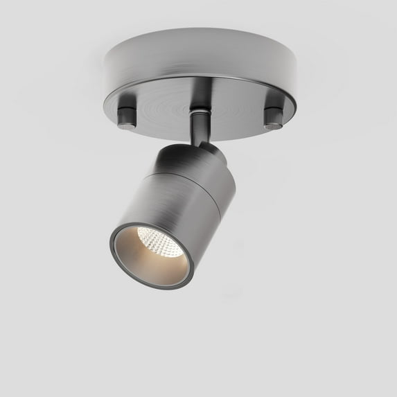 Shura Brushed Nickel Spotlight Sconce, Adjustable Head, Integrated LED Bulb, 3000k, 490L