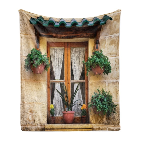 Shutters Soft Flannel Fleece Throw Blanket, Basket of Flowers Historic Building Window Classic Lace Theme Inside Image, Cozy Plush for Indoor and Outdoor Use, 60" x 80", Beige Green, by Ambesonne