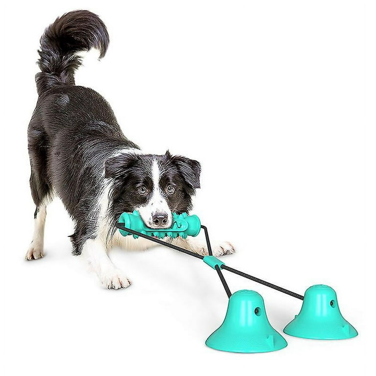 Shxx Dog Chew Toy With Multifunctional Suction Cup, Pet Molar Bite Toy,  Suction Cup Dog Toy Rubber Chew Toys Interactive Puppy Training Rope For  Teeth 