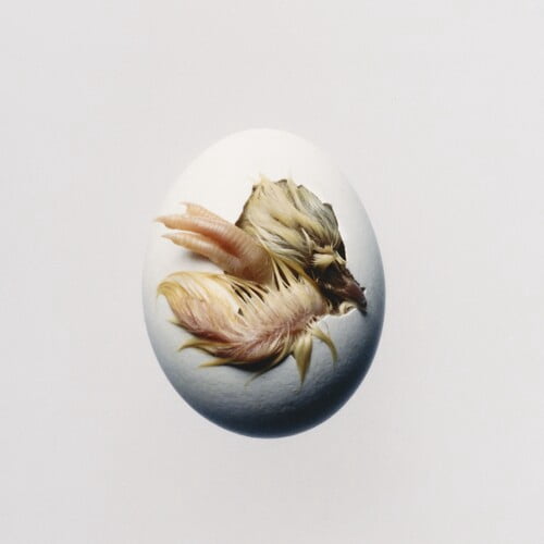 Shygirl - SWALLOW! - Music & Performance - CD