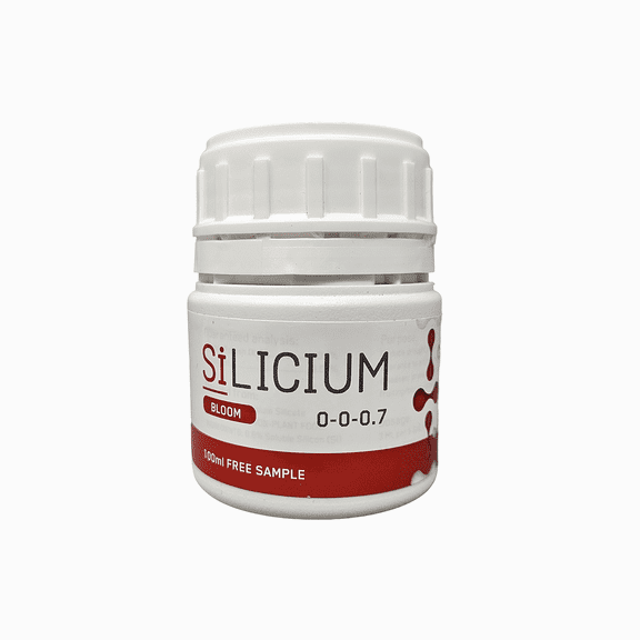 SiLicium Bloom - 100 ml Bottle by SiLicium