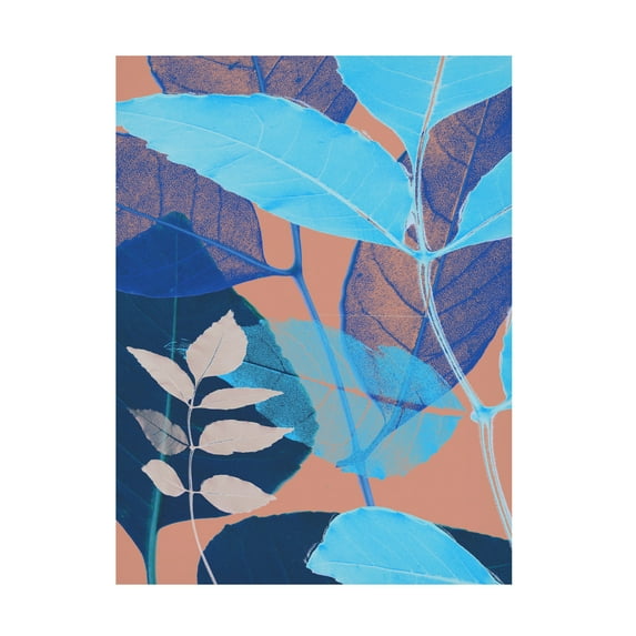 Sia Aryai 'Folio II' Canvas Art