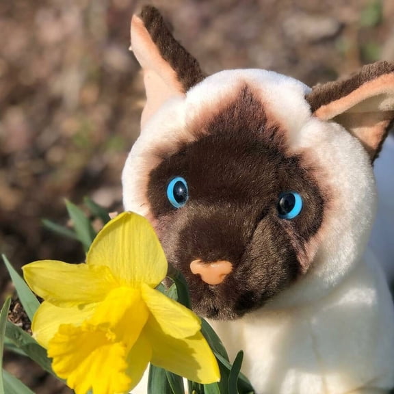 Siamese 16 Inch Floppy Plush Cat- Stuffed Animal Kitten Floppy Pose- Plush Cat Kitten