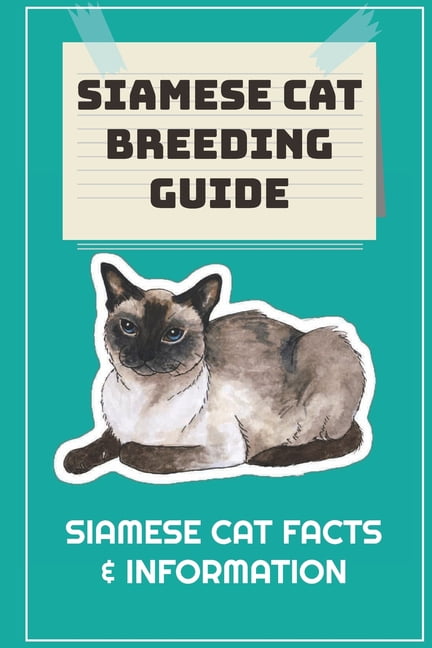 Siamese 2024 cat price