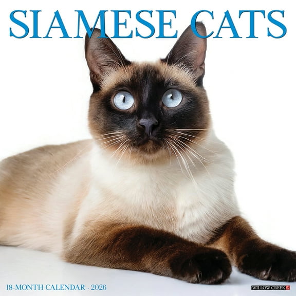 Siamese Cats 2026 Wall Calendar, (Paperback)