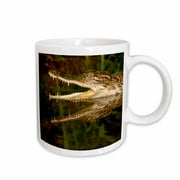 Siamese Crocodile, Native to Indonesia, - NA02 DNO0814 - David Northcott 11oz Mug mug-140102-1