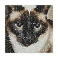 thumbnail image 1 of "Siamese Pointillist Dream" - Canvas, 1 of 25