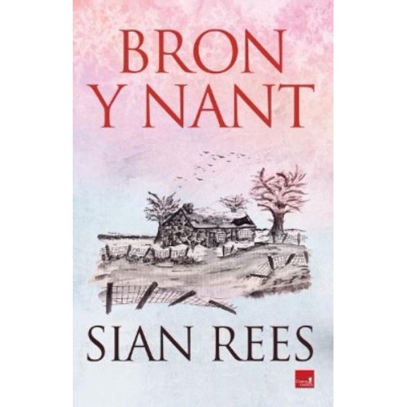 Sian Rees,Rees,Si N Bron y Nant (Paperback)