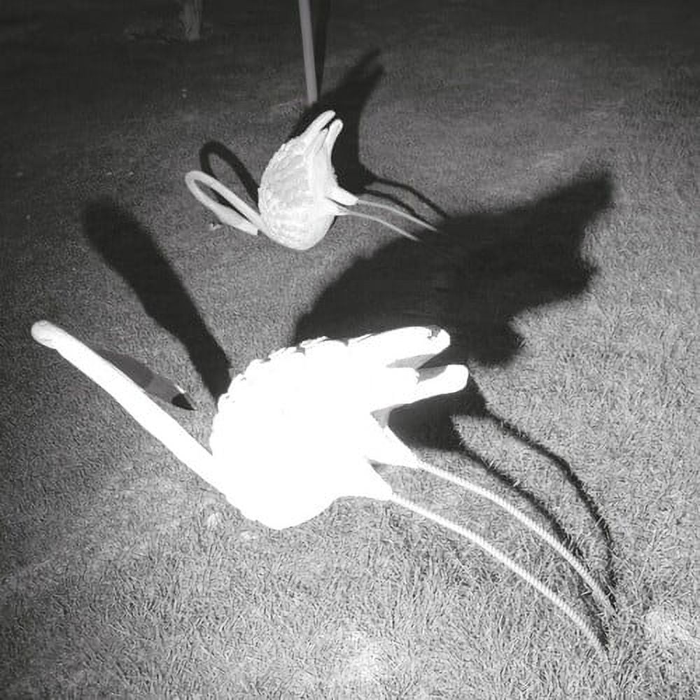 Siavash Amini - A Mimesis of Nothingness - Music & Performance - Vinyl