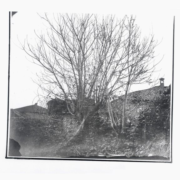 Siavash Amini - Caligo - Music & Performance - CD