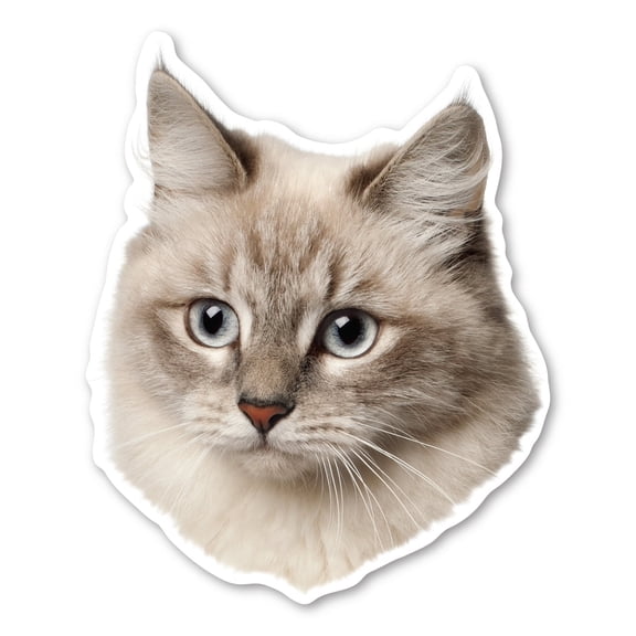 Siberian Cat Magnet