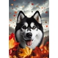 thumbnail image 1 of Siberian Husky Black/White - Best of Breed Fall Leaves Outdoor Garden Flag 12" x 17" Mailbox Flag Dog Flag, 1 of 1