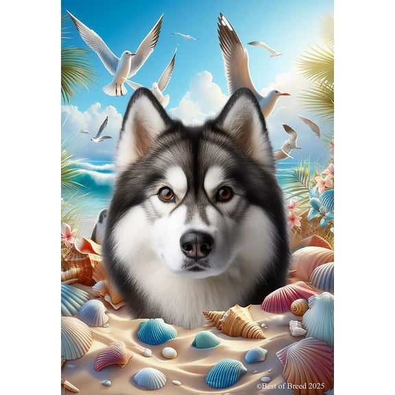 Siberian Husky Grey - Best of Breed Summer Beach Outdoor Garden Flag 12" x 17" Mailbox Flag Dog Flag