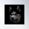 thumbnail image 1 of Siberian Husky Portrait! Poster Wall Art, Modern Wall Decor For Living Room Bedroom, 24x24 UNFRAMED, 1 of 3
