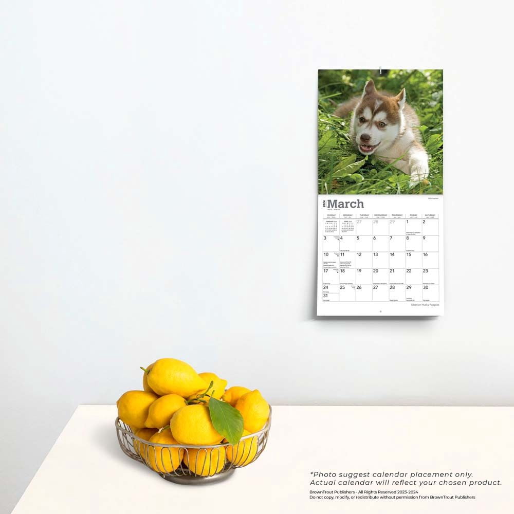 siberian-husky-puppies-2024-7x14-hanging-mini-wall-calendar-browntrout-walmart-com