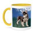 thumbnail image 1 of 3dRose, Siberian Husky Puppy, 11oz Two-Tone Yellow Mug, 1 of 7
