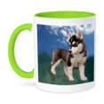 thumbnail image 1 of 3dRose, Siberian Husky Puppy, 15oz Two-Tone Green Mug, 1 of 7
