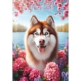 thumbnail image 1 of Siberian Husky Red - Best of Breed DCR Spring Garden Flag 12" x 17", 1 of 1