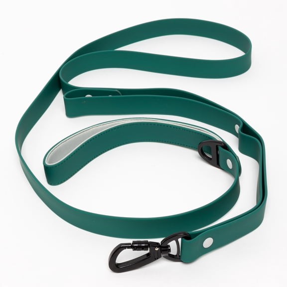Aria the Fox 6 FT Flex-Poly Waterproof Dog Standard Leash, Green, 1 Piece