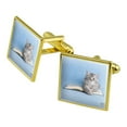 thumbnail image 1 of Siberian Tabby Kitten Cat Sitting Reading Book Square Cufflink Set - Silver or Gold, 1 of 6